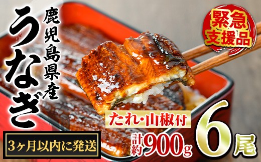 yǒzy0334338az3ȓɔ\聄ǒ̂Ȃ()(6Ev900gE^ARt) Ȃ  EiM V Y  Ă   ӂ邳 lC yA