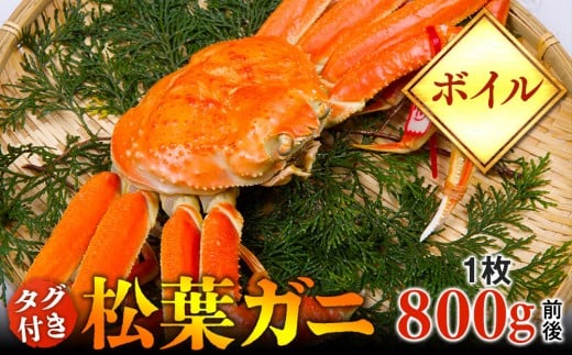 y挧khzy{Cz^Ot@tKj@1i800gOjywsz2025N11{`2026N3{ɏ\s Jj It