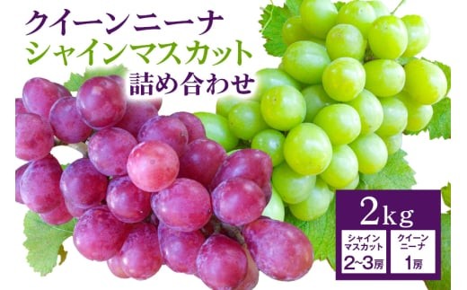 y錧Ήszy 2026N s\ z VC}XJbg  NC[j[i lߍ킹 2kg JcԂǂ Ԃǂ uhE Y ʕ   t[c Zbg Mtg 2L 9 10 