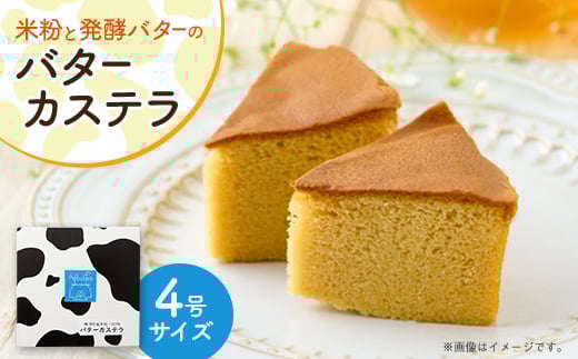 yɌ_͒zo^[JXey1631727z