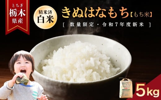 yȖ،szʂ͂Ȃ()  5kg |    ~L[NC[ ʂ͂Ȃ Ƃ̐ RVqJ Ђ  ٓ Iׂ  ӂ邳 [ Ȗ، s