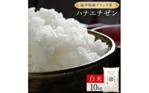 y䌧։szy3z䌧Y niG`[  10kgi10kg×1jߘa7NY V ʌ y R        ؉zO uh Yz[095-t3-a007]