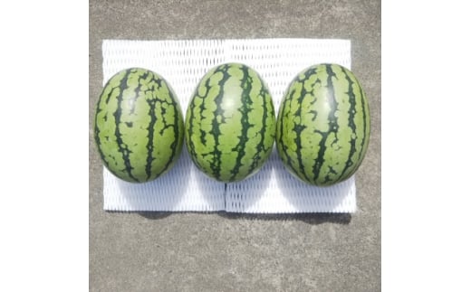 yÉ֓cszst/2026N8{蔭3!Ăvy!VQ!XCJՂƁy1685555z