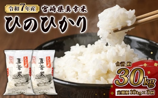 y{茧т̎szy2025N12zy3ցzi т̎Y qmqJ ^K(܂܂) 10kg 30kg 3  Ђ̂Ђ    ɂ ٓ {茧Y BY 