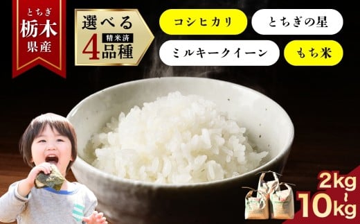 yȖ،szyIׂizyIׂOzЂ Ƃ̐ ~L[NC[ ʂ͂Ȃ() | Iׂe 2kg 3kg 5kg 10kg |    ~L[NC[ ʂ͂