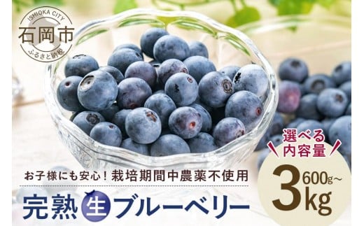 y錧Ήszy 2026N s\ zCɈ u[x[ Iׂ 600g 1.2kg 1.5kg 3kg _ ͔|Ԓ sgp ʕ t[c VN E Y Yn _ƒ Y   