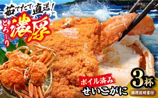 y䌧lszዷl 䥂 {C ZCRKj 3t @̎ʐ^t y①z / RbyKj I  Kj  Jj I     XKj ls / 