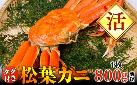 y挧khzyz^Ot@tKj@1i800gOjywsz2025N11{`2026N3{ɏ\s Jj It