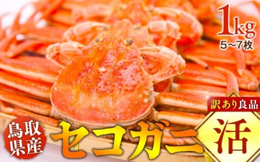 y挧khzyz挧Y@ZRKj@󂠂Ǖi@1g(5`7)s Jj I ZRKj2025/11/6`2025/12/25ɏ\聦ws  sikCA{͔z\j