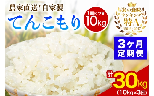 y_ސ쌧ɐsz[ց^3A ] V [ߘa7NY] ɐY 10kg(5kg×2) Ă񂱂 _ƒI񂿂̂߂IƐāb   R  _ސ ɐ [0746]