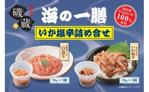 y{錧Csz鑠 C̈V  h lߍ킹 6_ Zbg [鑠 {錧 Cs 20565848] y   CJ  ܂ hg ߂ XCJ