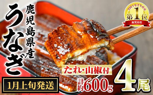 yǒzy0244339a-2601z1{\聄ǒ̂Ȃ()(4Ev600gE^ARt) Ȃ  EiM V Y  Ă   ӂ邳 lC yA