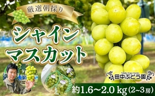 y{͓szÎVC}XJbg 1.6`2.0kgi2`3[jVC}XJbg@Ԃǂlߍ킹 Ԃǂ uhE ʕ t[c cԂǂ  ͓ }XJbg 