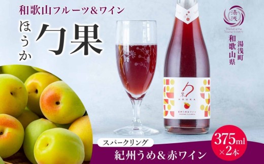 ya̎R󒬁zKG1007_CJNe Xp[NO  ق IB߁ԃC 375ml 2{ 󃏃Ci[