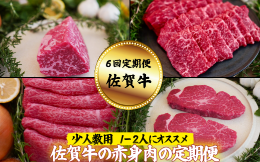 yꌧszy6zylpzꋍ Ԑg̒ցFB980-002