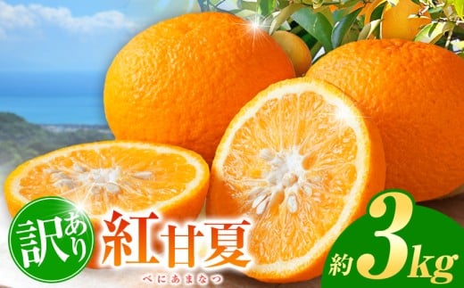 yF{ʖsz󂠂 gÉ  3kg | t[c ʕ  k ~J ݂ É ܂Ȃ F{ ʖs