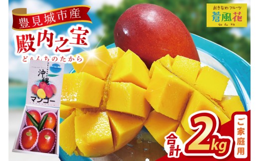 2026年7月より順次発送】豊見城産マンゴー『殿内之宝(どぅんちのたから