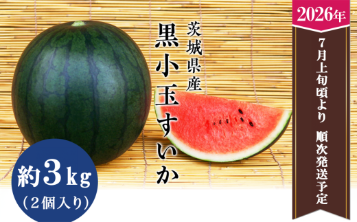 606茨城県産小玉スイカ訳あり良品Sサイズ1箱7玉入り 先行予約 】 茨城県産 黒小玉すいか 3kg（ 2個 ） 【 2026年7月上旬