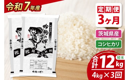 3ヵ月定期便】 ＜令和7年産＞ コシヒカリ 4kg（2kg×2袋） × 3ヵ月 