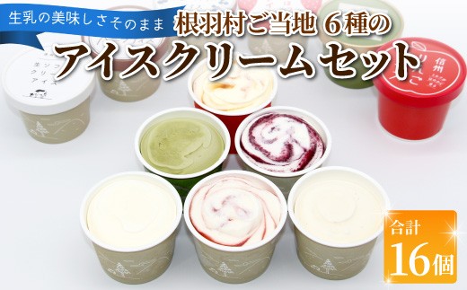 根羽村 ご当地6種のアイスクリームセット 16個 生ソフトクリーム