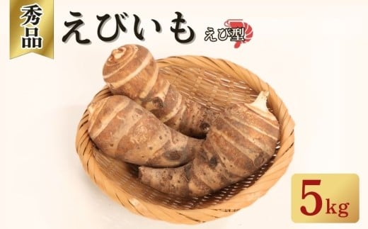 ys{zs т G ь^ 5kg   `  12-30    ΂񂴂 Ƃ ϕ 񂩂 fĂ o