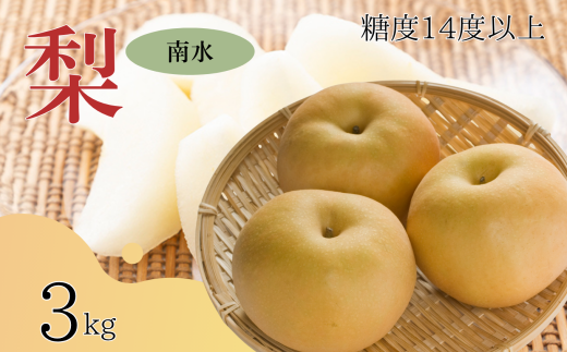 y쌧ѓcszy2026Ns\z 쐅 x14xȏ 3kg | ʕ  t[c 쐅  Ȃ iV VN 쌧 MB MB ѓcs