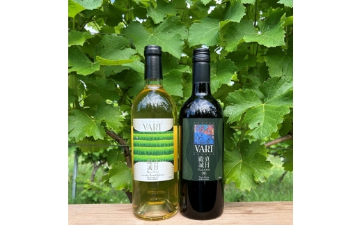 y쌧cszy쌧csYԂǂ100zVART ԃC{CZbg[5312-1466]