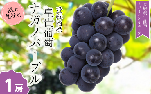 y쌧Ȏszy2026Ns\zԂǂ iKmp[v Gi nEX͔| 1[ b  Ԃǂ t[c ʕ Ȏs 쌧Y MB