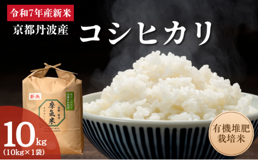 ys{Osz[5334-0706]ߘa7NYV L@͔͔| Ђ  10kg |   R  