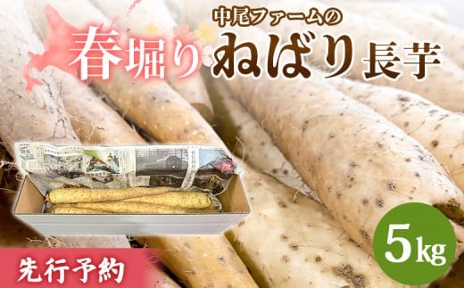 ykCHyzs\Jn ytxzt@[̂˂΂蒷 5kg |  Y kCY   ˂΂蒷 t@ R Ƃ 肨낵 S Â fg aH  H