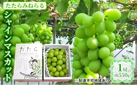 yRzy2026Ns\z Ԃǂ RY ݂˂ VC}XJbg 1[(550g) s2026N8{-10{oׁt  uhE t[c ʕ XC[c ʌ Ԍ