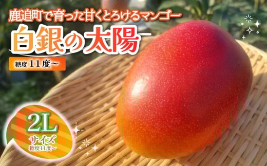 ykCǒzkCǎY@̑zixPPx`j@QL×Pʁy ӂ邳Ɣ[ lC  LO }S[ }S[t[c ʕ  ʎ t[c nEX͔|}