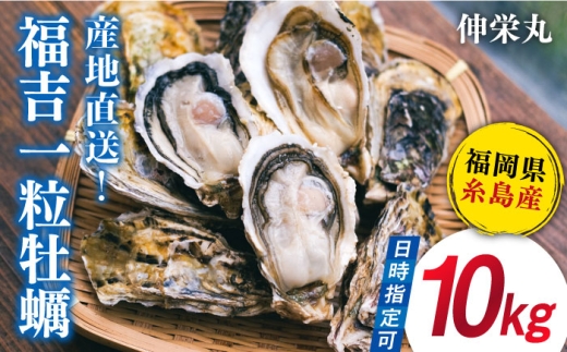 yszyMpzꗱy JL 10kg (yiCtt) Y g s/Lh JL̍X y  kt JL   [ATH004]