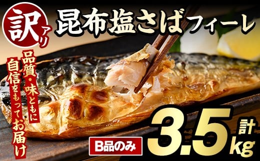 yvsz󂠂Iz΃tB[(Bî݁Ev3.5kg) e {[ To I  ܂ y Ă ؂g z ƒp s[gyO[ot[Yzakn061-05