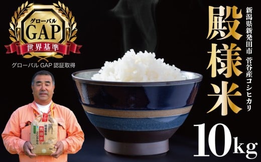 yVVcszVY z㐛Jal 10s ߘa7NY y VY VcY  10kg z㐛J al RVqJ echigosugatani001 z