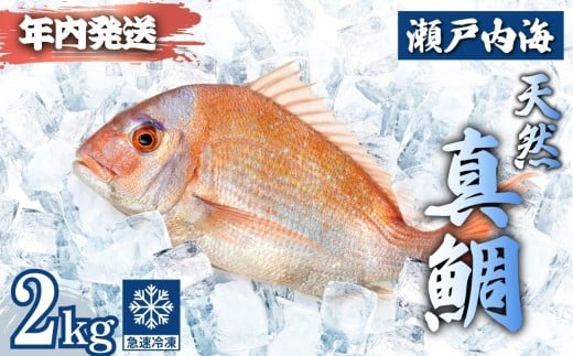 yL|szy2025N1221܂ł̂ŔNzz˓ VR^ ۂƎp(낱E) 4?6C v2kgb ^C  ^ }Ⓚ ς hg Ă Ă J