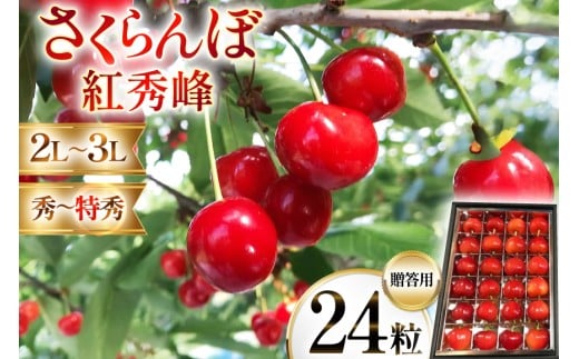 yR`zyԌ蔭z TN{ gG G 2LTCY 24 [q_ R`  tk06ays950003]  ыl ʕ  t[c TN{ ׂɂイق ϔ