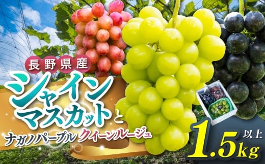 y쌧{szystF2026Nz{sRӎY@VC}XJbgEiKmp[vENC[[W@eP[i1.5Lȏj  VC}XJbg iKmp[v NC[