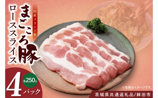 y錧zy錧ʕԗi/gcszY܂؃[XXCX250×4o | Â  Ǖi ŏ㋉ 錧Y(92-03)