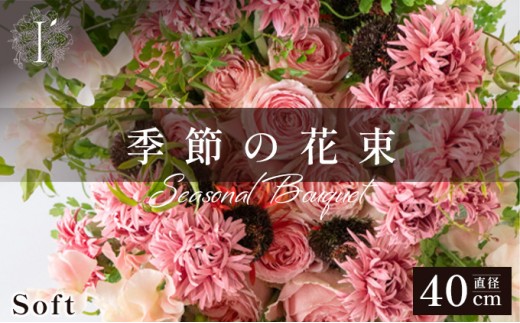 yɌszG߂̉ԑ 300B Soft