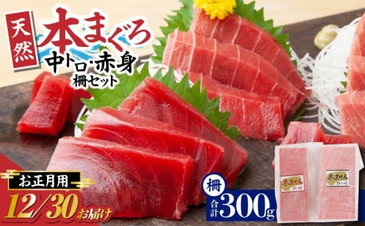 y_ސ쌧OYszyNz_ސ쌧A VR{}O gEԐgZbgypz@M077-013-03