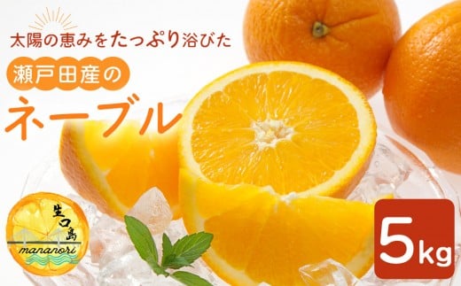 yLszžb݂Ղ藁т˓cỸl[u@5L