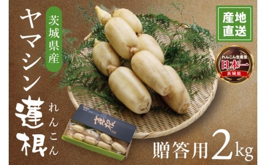 y錧z}V@@p2kg|R  v[g H@ VN VLVL  錧  i98-01j