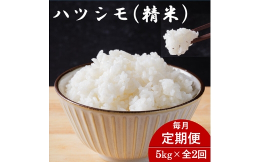 y򕌌Hszց򕌌YncV() 5kgS2y4076401z