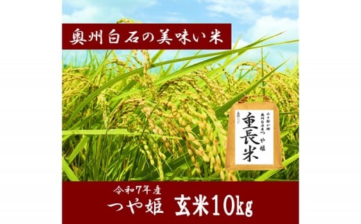 y{錧Ύszߘa7NY P  10kg |    ͂ uh Y k Y A ӂ Â  H   O lC LO Mtg 