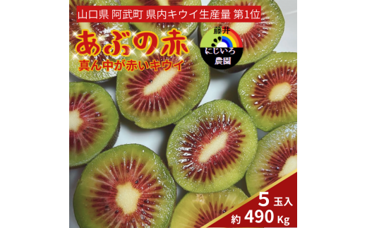 yRzԂ̐ ^񒆂ԂLEC  490g i5ʁj 󏭂ȐԂʓ̋ɊÃLEC R Y t[c ʕ fU[gy ʌ z2025N1020`1220\