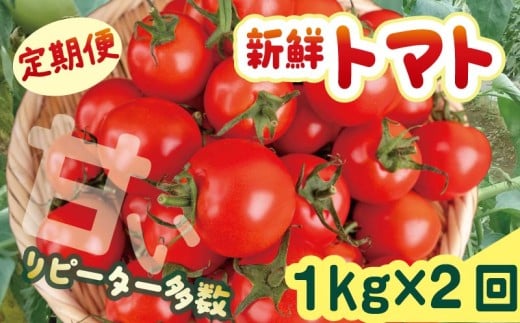 ymczcYVNg}g 1kg  2񔭑 \ 2  g}g 1kg VN  { Ƃ܂ Ė Ԍ Gߌ s\ ӂ邳Ɣ[ lC m c TR-05