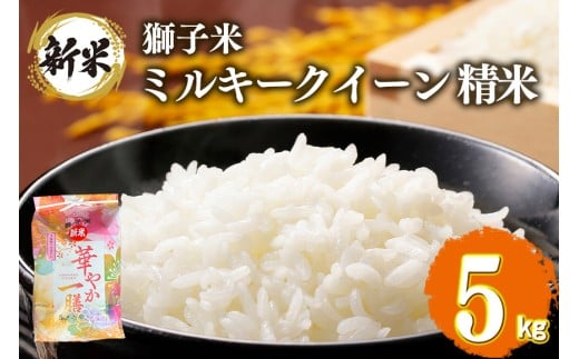 y錧Ήszy3zq ~L[NC[  5kg ct@[     uh ~L[ 5L Y Pꌴ R    錧Y  Y Y