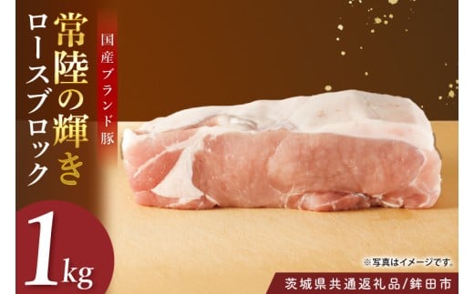 y錧zy錧ʕԗi/gcszY헤̋P؃[XubN 1.0s | ~ _炩 i 錧Y(92-10)