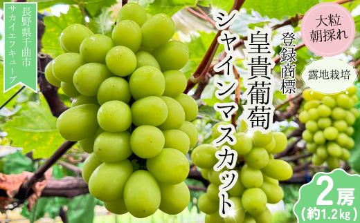 y쌧Ȏszy2026Ns\zVC}XJbg In͔| Gi 2[ b Ԃǂ  Ԃǂ 햳 Ȃ 炲 Ȏs 쌧Y MB